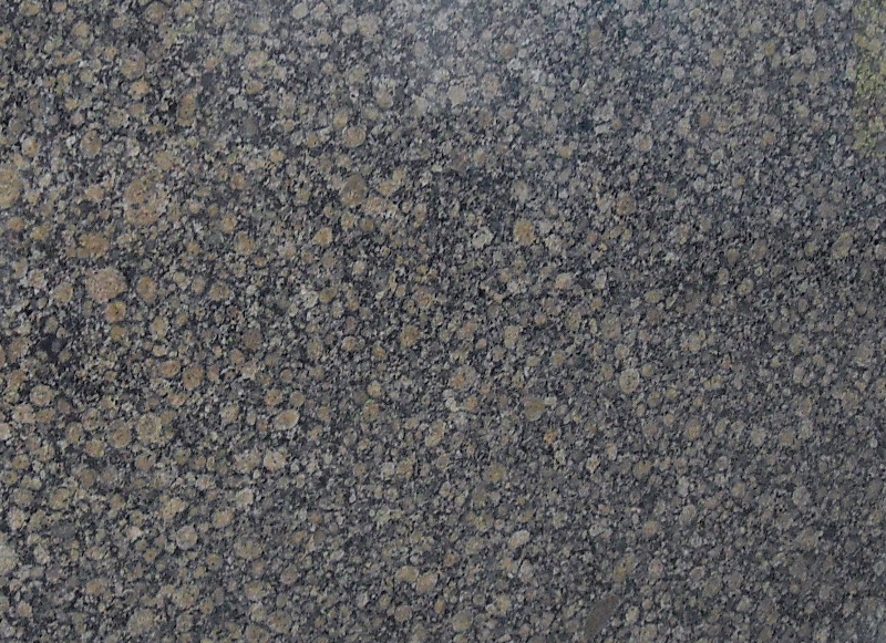 Гранит Балтик Браун (Granite Baltic Brown)