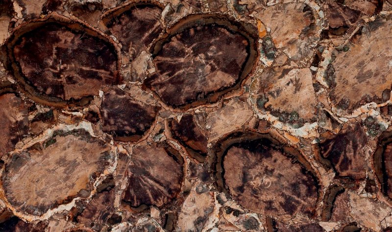 Полудрагоценный камень Перфилд Вуд Антик (Petrified Wood antik)